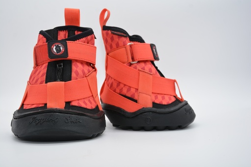 Recovery 2.0 Red